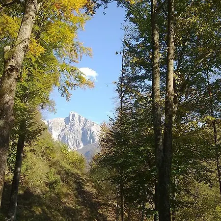 Brnat Kobarid