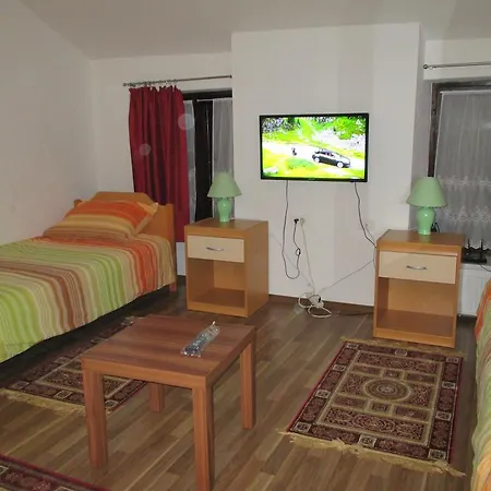 Apartment Studio Brnat