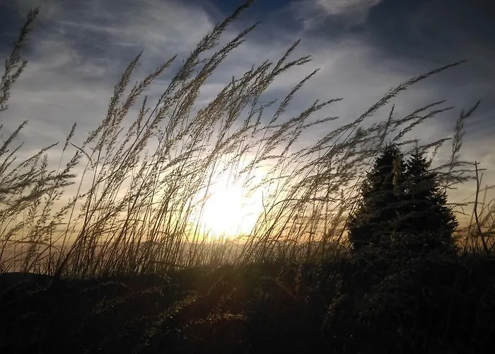 Διαμέρισμα Brnat *